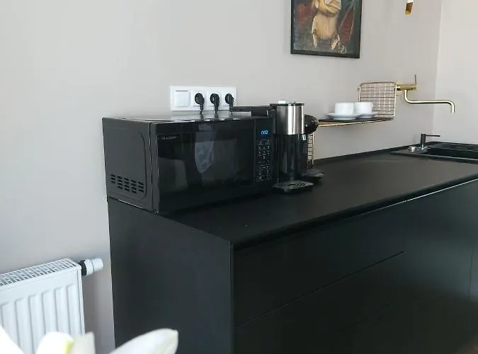 Doris Day 크라쿠프